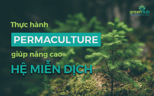 Permaculture