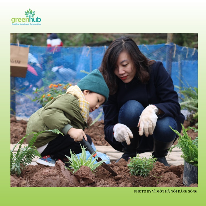 Hoạt động trồng c&acirc;y ở Bờ vở s&ocirc;ng Hồng