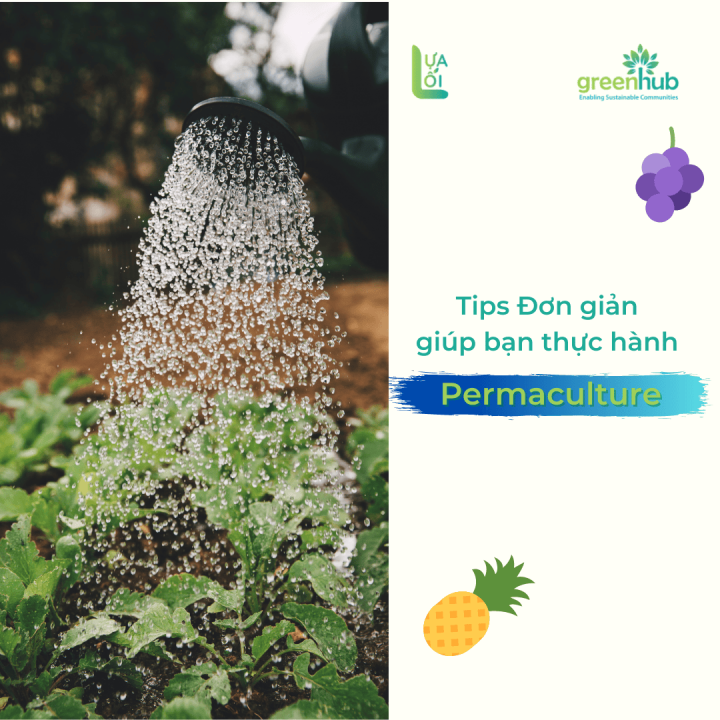 Tips đơn giản giúp bạn thực hành Permaculture