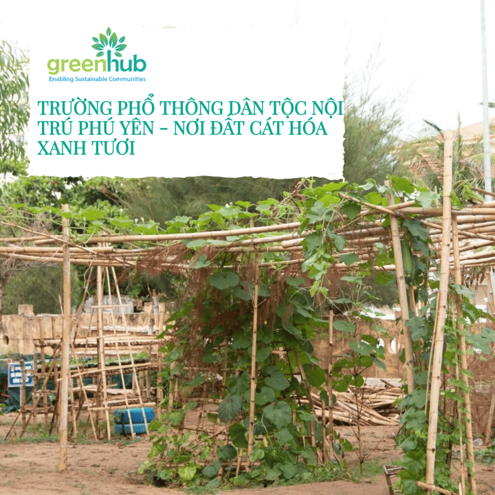 Trường Phổ thông Dân tộc nội trú Phú Yên - Nơi đất cát hóa xanh tươi