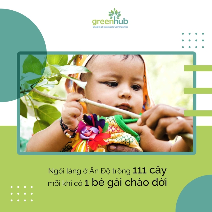 NHỮNG CÂU CHUYỆN TRỒNG CÂY THÚ VỊ TRÊN KHẮP THẾ GIỚI