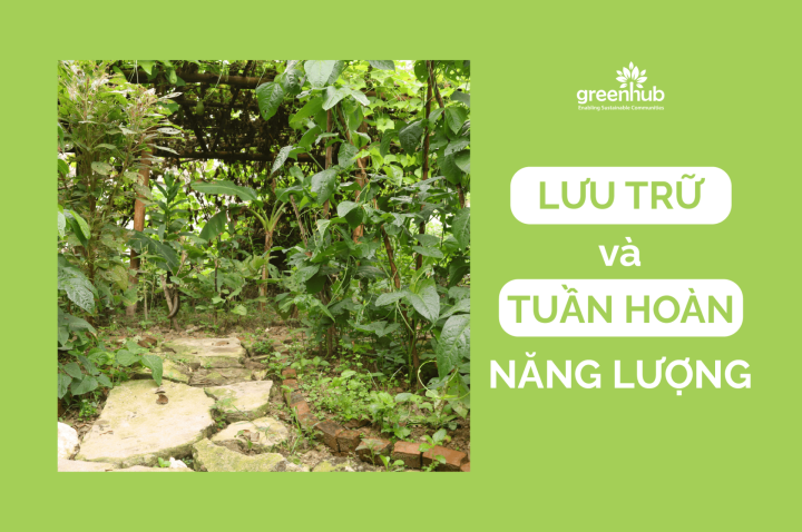 Năng lượng trong Permaculture - Phần 1: Lưu trữ và tuần hoàn năng lượng