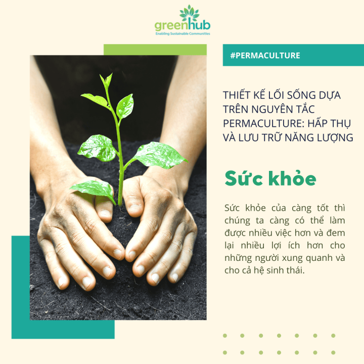 Thiết kế cuộc sống của bạn dựa trên các nguyên tắc Permaculture (Phần 2): Hấp thụ và lưu trữ năng lượng