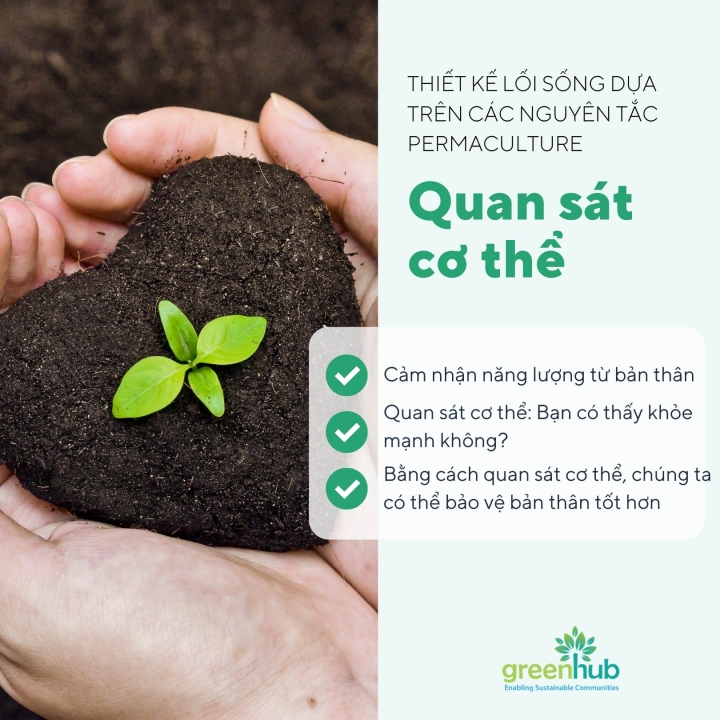 Thiết kế cuộc sống của bạn dựa trên các nguyên tắc Permaculture (Phần 1): Quan sát và tương tác