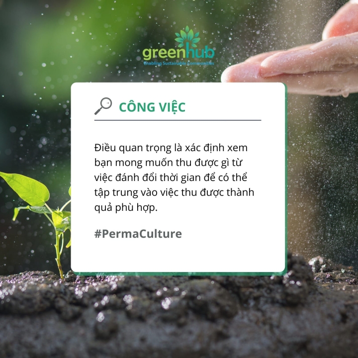 Thiết kế cuộc sống của bạn dựa trên các nguyên tắc Permaculture (Phần 3): Thu hoạch thành quả