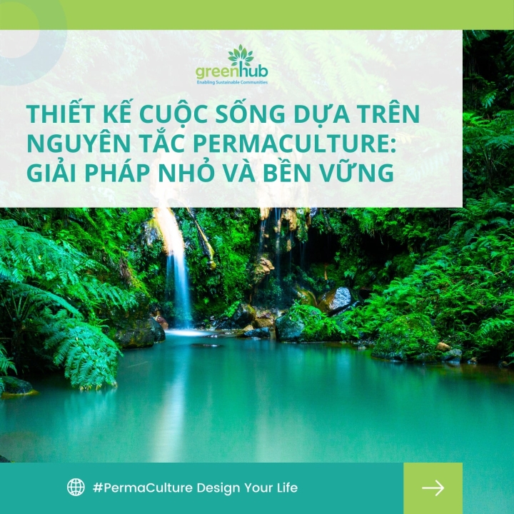 Thiết kế cuộc sống dựa trên nguyên tắc Permaculture: Áp dụng các giải pháp nhỏ và chậm rãi