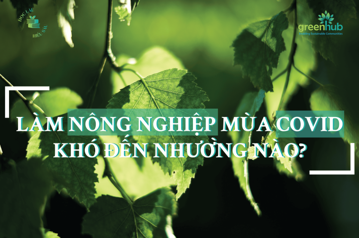 LÀM NÔNG NGHIỆP MÙA COVID KHÓ ĐẾN NHƯỜNG NÀO?
