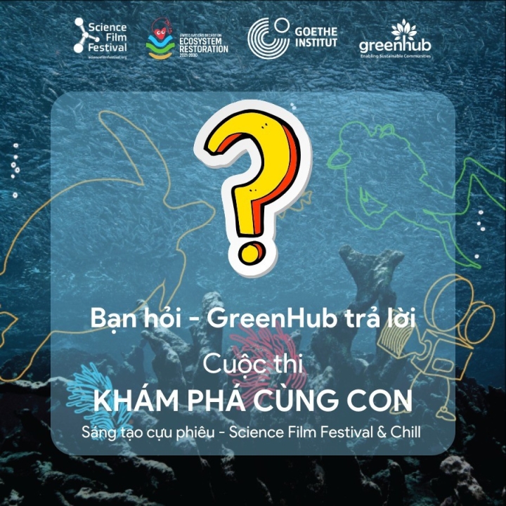 Bạn hỏi - GreenHub trả lời