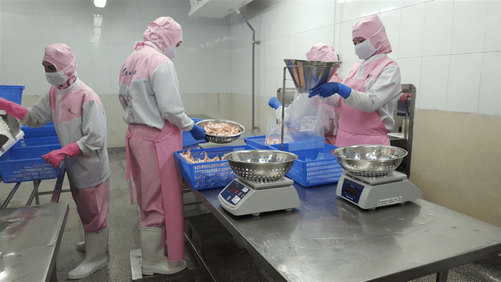 GreenHub Develops The first Sustainability Reports for Vietnamese Seafood processing enterprises