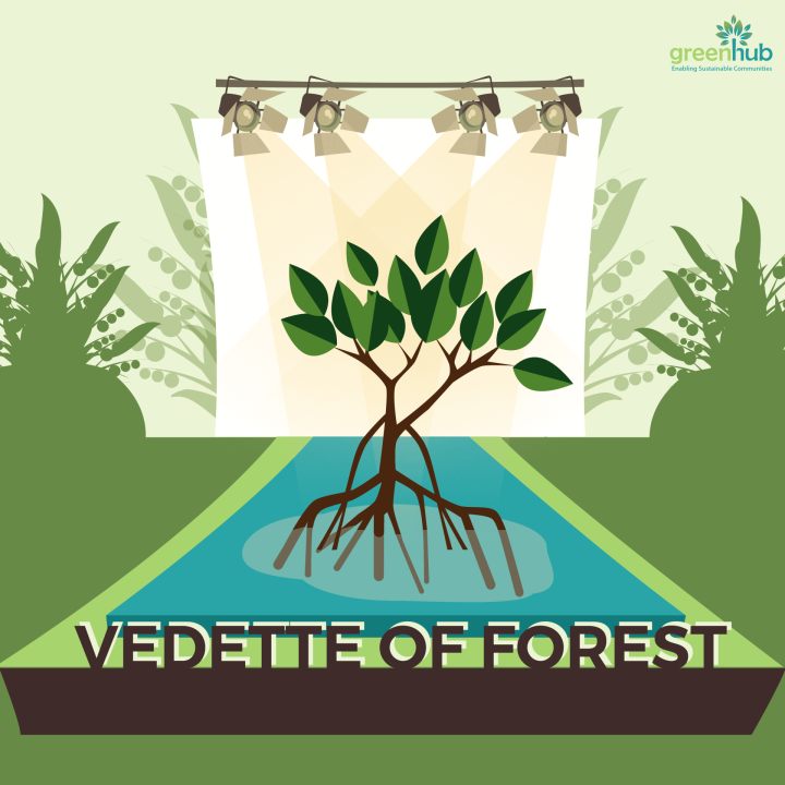ĐI TÌM “VEDETTE OF FOREST”?