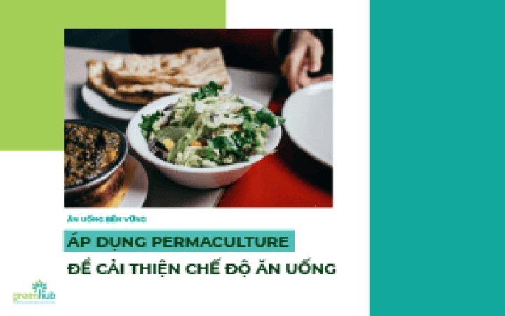 ĂN UỐNG BỀN VỮNG: ÁP DỤNG PERMACULTURE ĐỂ CẢI THIỆN CHẾ ĐỘ ĂN UỐNG