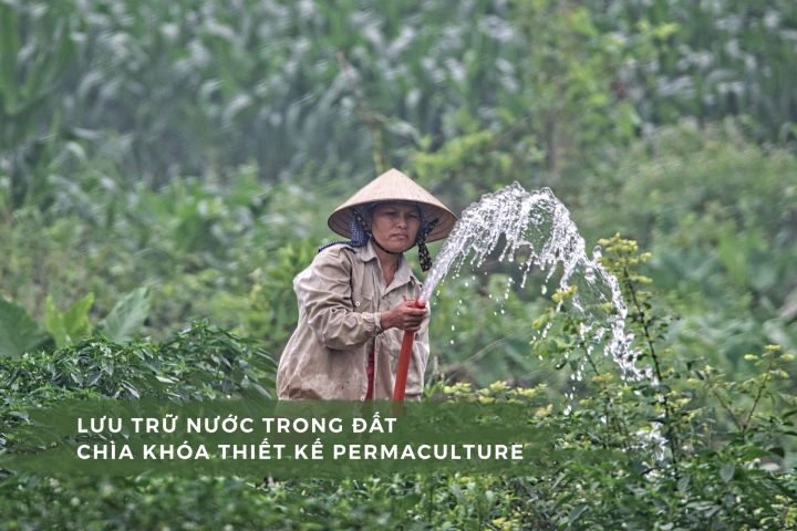 Hệ thống nước trong permaculture - Phần 1: Lưu trữ nước trong đất - Chìa khóa thiết kế permaculture
