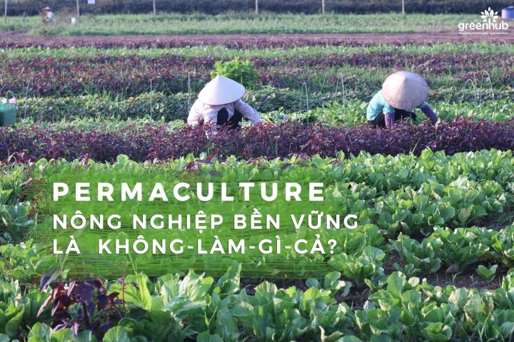 PERMACULTURE - NÔNG NGHIỆP BỀN VỮNG LÀ KHÔNG-LÀM-GÌ-CẢ? (PHẦN 1)