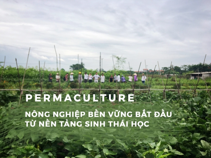 PERMACULTURE - NÔNG NGHIỆP BỀN VỮNG BẮT ĐẦU TỪ NỀN TẢNG SINH THÁI HỌC