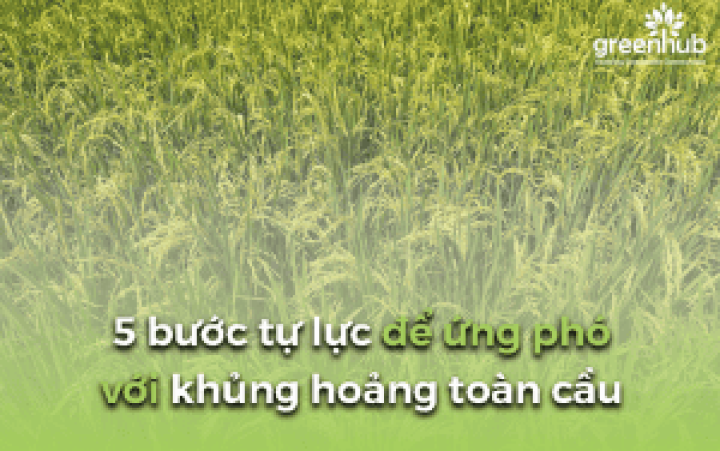 5 bước tự lực để ứng phó với khủng hoảng toàn cầu