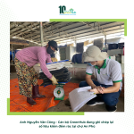 GREENHUB KIỂM ĐẾM RÁC THẢI HỮU CƠ TẠI TỈNH ĐẮK LẮK